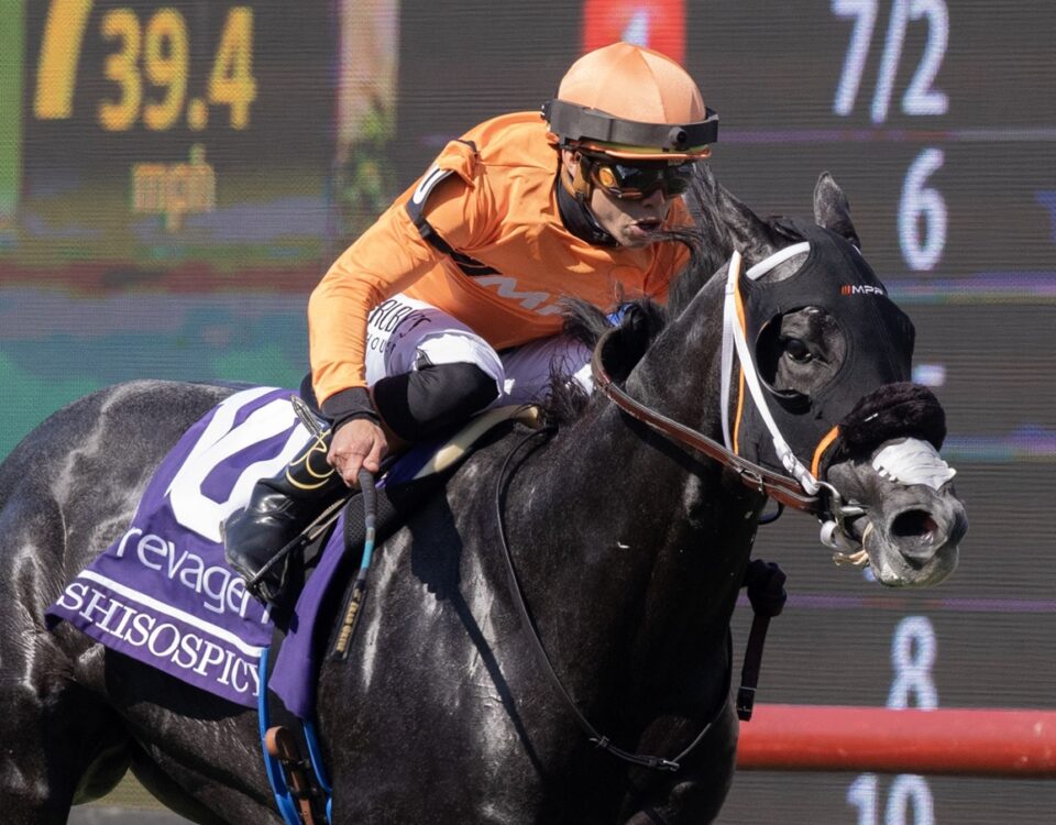 Shisospicy - Barbara D. Livingston - Daily Racing Form