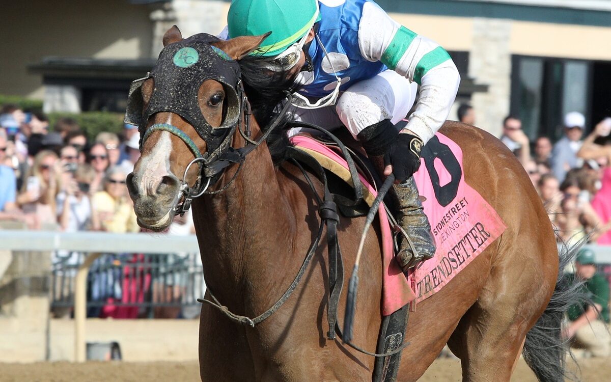 TRENDSETTER - Stonestreet Lexington G3 - John Gallagher - Coady Media