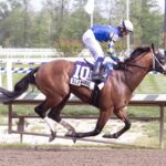 Taj Mahal - Federico Tesio Stakes Jim McCue - Maryland Jockey Club