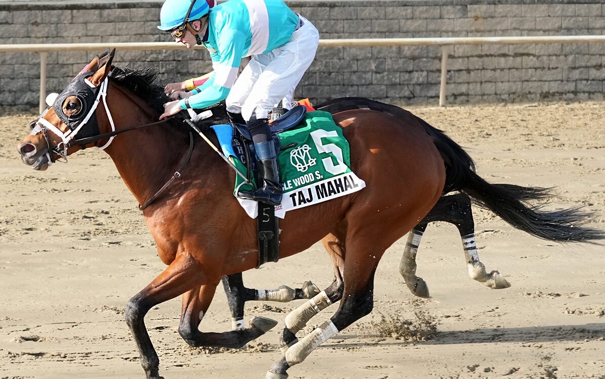 Taj Mahal - Photo: JEFFREY SNYDER F/ The Maryland Jockey Club