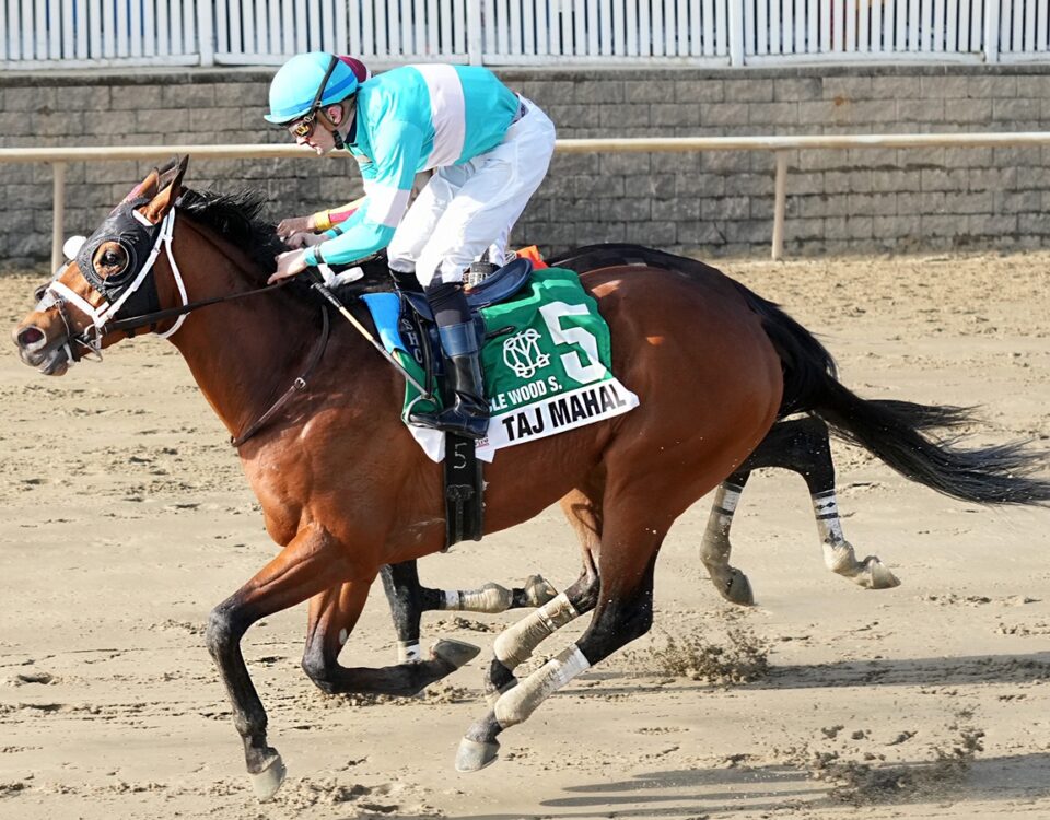 Taj Mahal - Photo: JEFFREY SNYDER F/ The Maryland Jockey Club