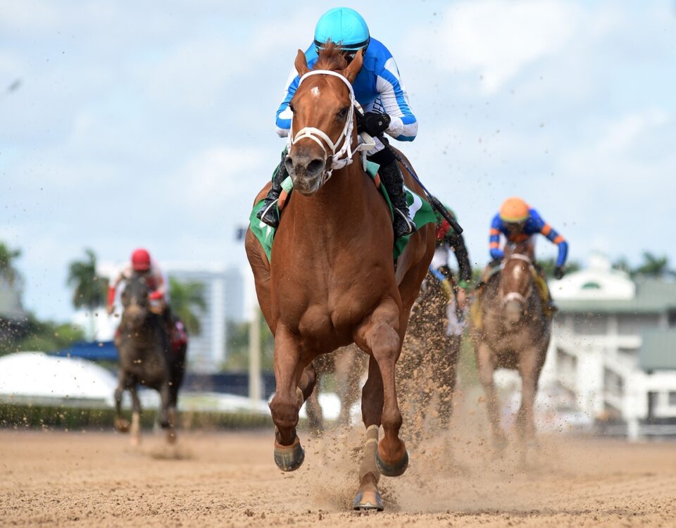 The Puma - Ryan Thompson - Coglianese Photo