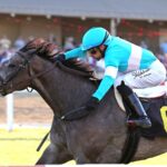 Bandiagara - $150,000 Penn Oaks at Penn National - Photo By Bill Denver/EQUI-PHOTO.