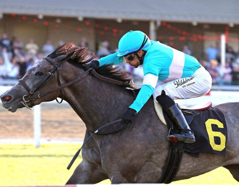 Bandiagara - $150,000 Penn Oaks at Penn National - Photo By Bill Denver/EQUI-PHOTO.