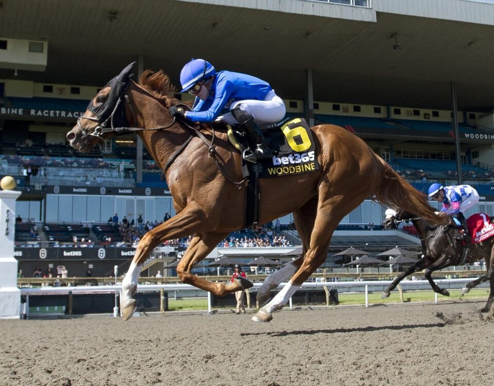 Maycocks Bay - Eclipse Stakes G2 - Woodbine/ Michael Burns Photo