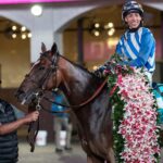 Always a Runner - Debbie Roma - Daily Racing Form