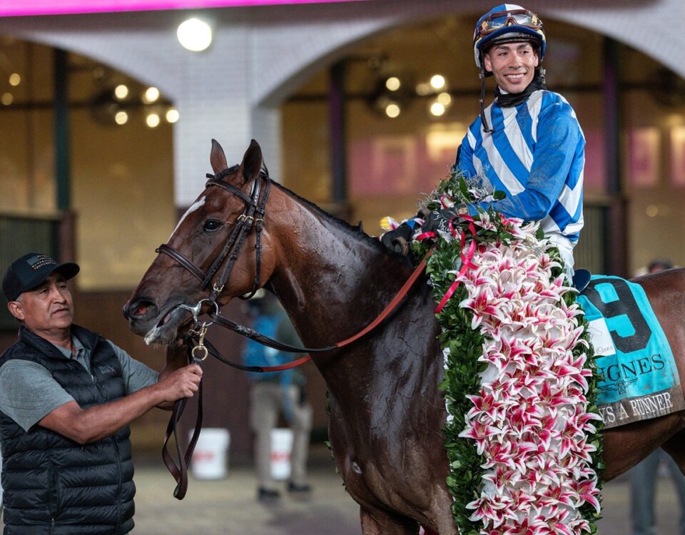 Always a Runner - Debbie Roma - Daily Racing Form