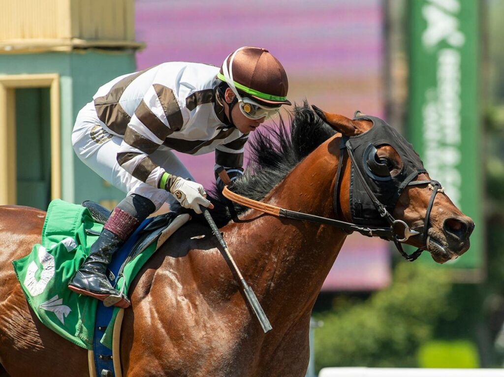 Big City Lights - Thor's Echo Stakes - Santa Anita Park - Benoit Photo