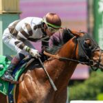 Big City Lights - Thor's Echo Stakes - Santa Anita Park - Benoit Photo