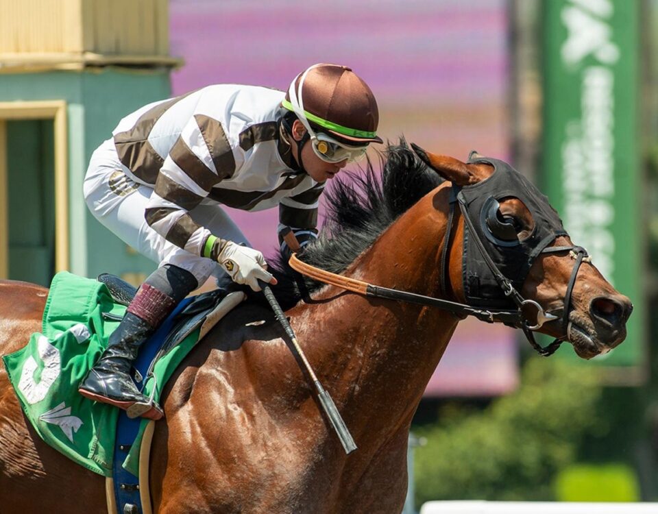 Big City Lights - Thor's Echo Stakes - Santa Anita Park - Benoit Photo