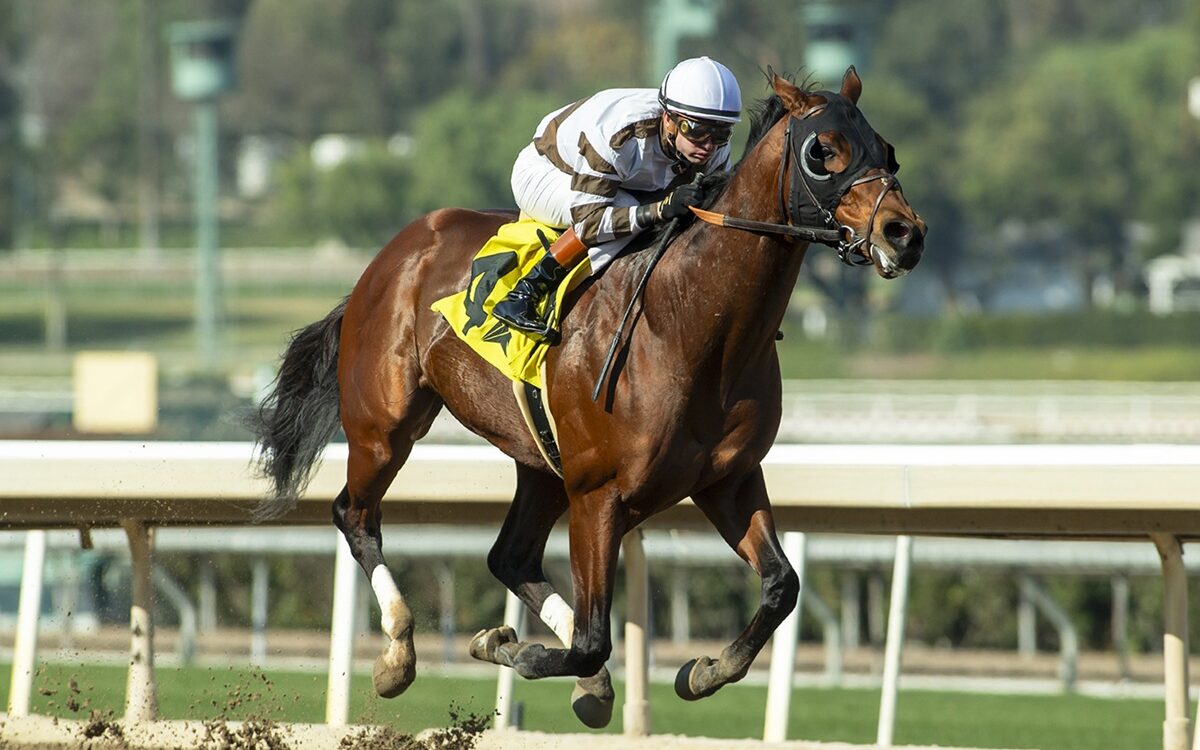 Big City Lights - Santa Anita Park - Benoit Photo