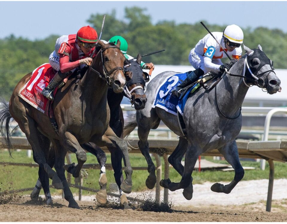 Bring the Smoke - Maryland Sprint Stakes G3 - Laurel Park - Barbara D. Livingston - Daily Racing Form