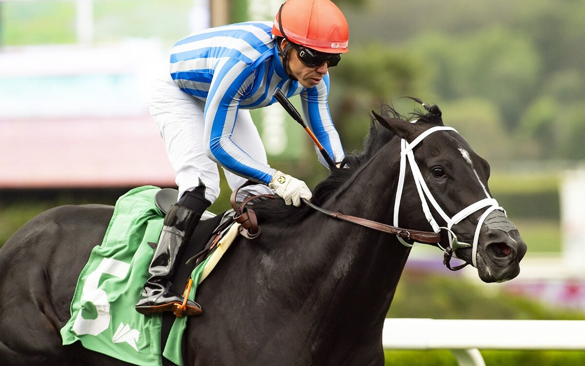 Bust Out and jockey Emisael Jaramillo win the $100,000 Cinema Stakes - Santa Anita Park, Arcadia, CA. - Benoit Photo