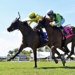 Celtic Dispute - Royal Palm Juvenile Stakes - Gulfstream Park - Coglianese Photo