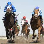 Deloraine - Belle Mahone Stakes G3 - Woodbine/ Michael Burns Photo
