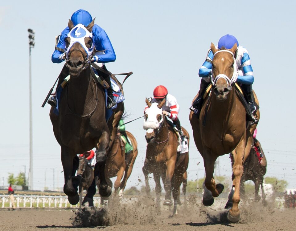 Deloraine - Belle Mahone Stakes G3 - Woodbine/ Michael Burns Photo