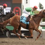 Elysian Field - Michael Burns Photo - Woodbine