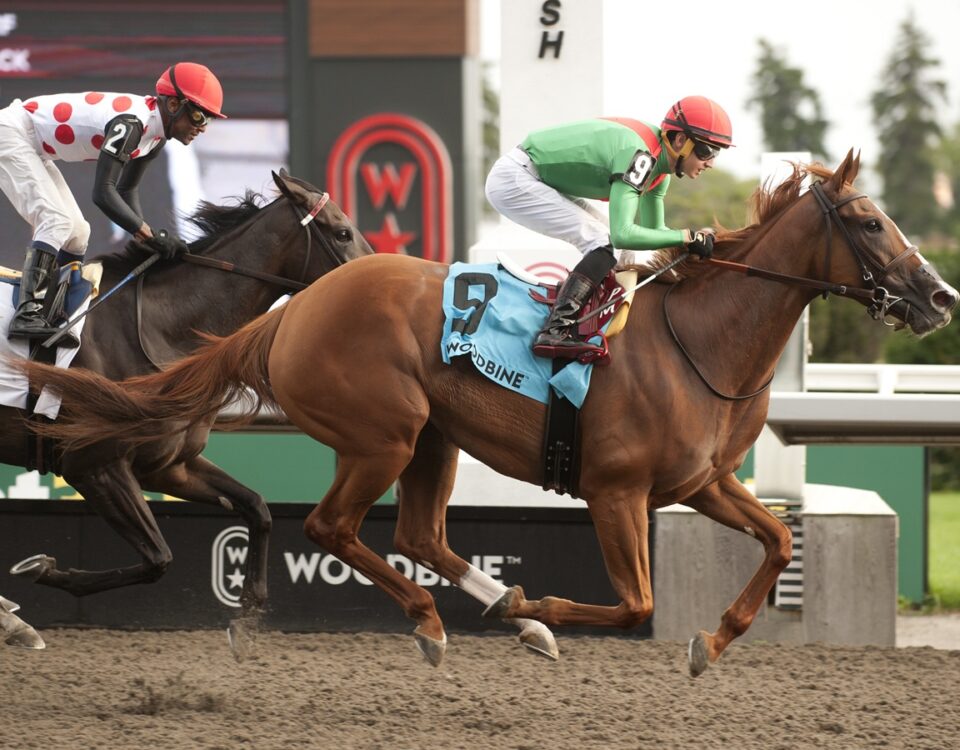 Elysian Field - Michael Burns Photo - Woodbine