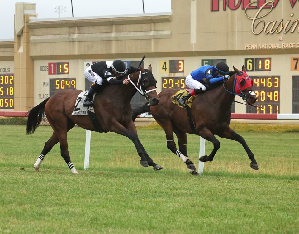 Penn National Racetrack - EQUI-PHOTO