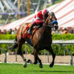 Flyover - Crystal Water Stakes - Santa Anita Park - Benoit Photo