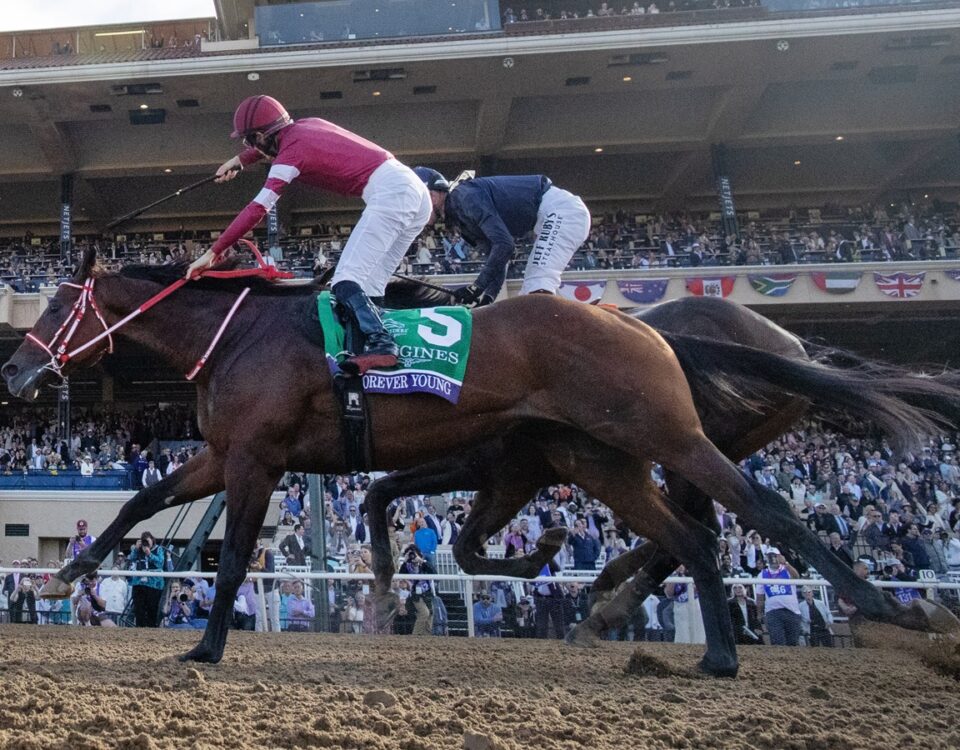 Forever Young - BC Classic - Debra A. Roma - Daily Racing Form