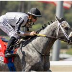 Forged Steel - Hollywood Gold Cup Stakes G2 - Santa Anita Park - Benoit Photo