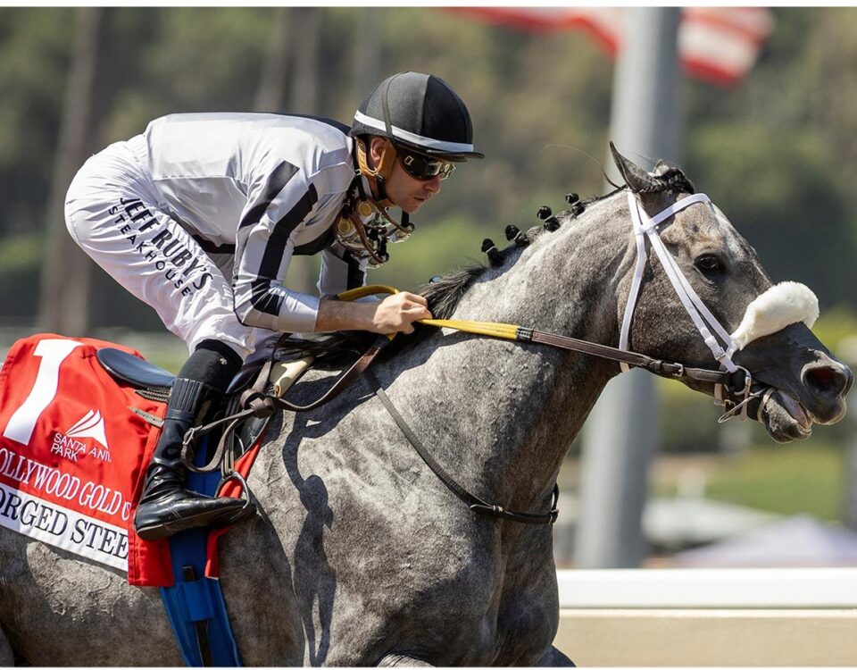 Forged Steel - Hollywood Gold Cup Stakes G2 - Santa Anita Park - Benoit Photo