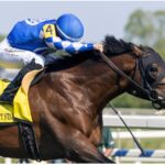 Fort Washington - Dinner Party Stakes G3 2026 - Laurel Park - Barbara D. Livingston - Daily Racing Form