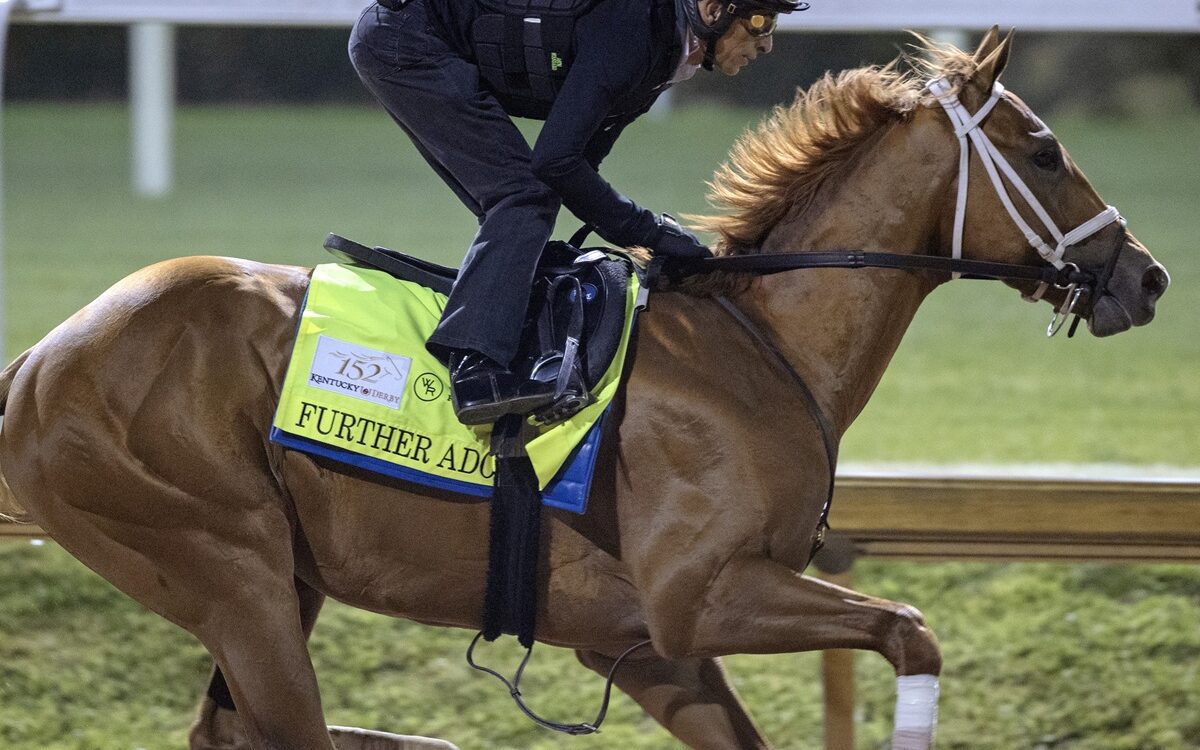 Further Ado - Barbara D. Livingston - Daily Racing Form