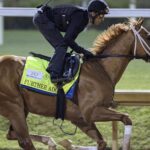 Further Ado - Barbara D. Livingston - Daily Racing Form