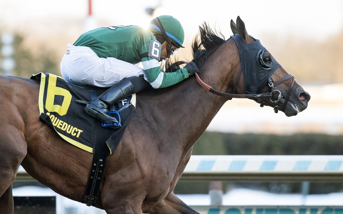 Iron Honor - Barbara D. Livingston - Daily Racing Form