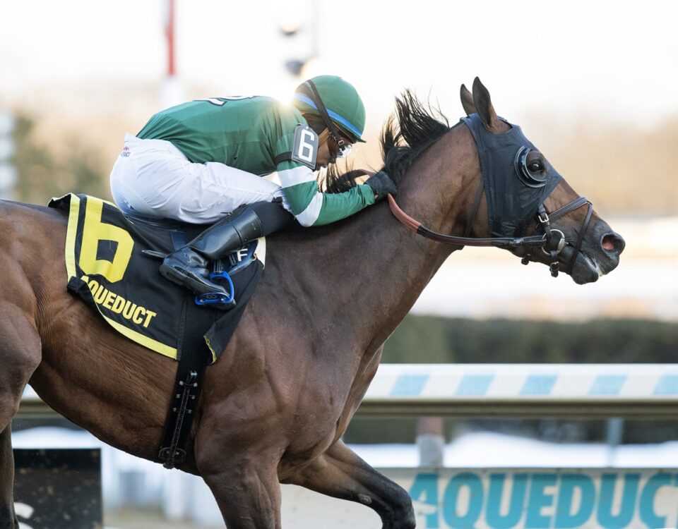 Iron Honor - Barbara D. Livingston - Daily Racing Form