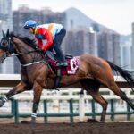 Ka Ying Rising - Hong Kong Jockey Club