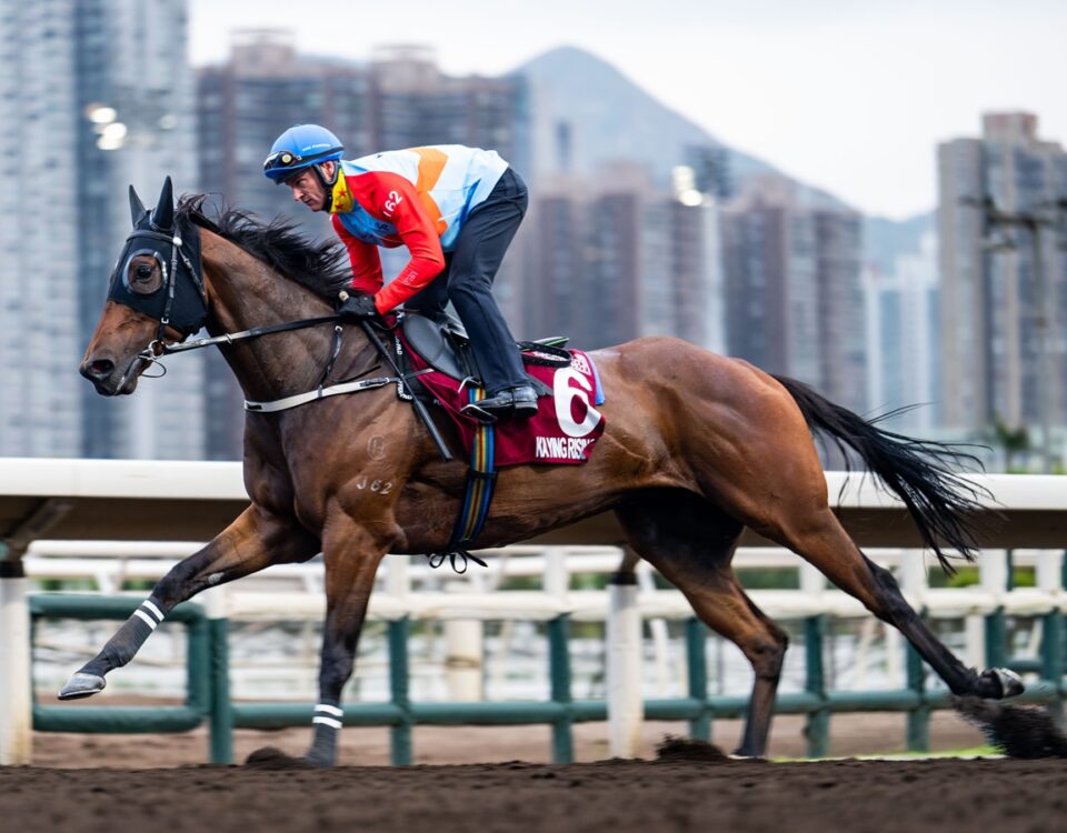 Ka Ying Rising - Hong Kong Jockey Club