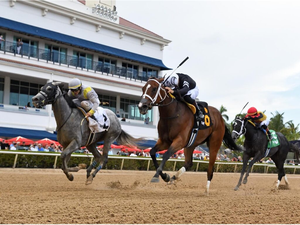 Lennilu - Game Face Stakes - Gulfstream Park - Ryan Thompson - Coglianese Photo