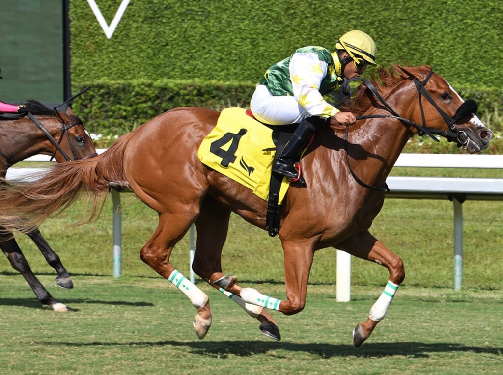 Liberty Rings - Royal Palm Juvenile Fillies - credit Ryan Thompson - Coglianese Photo