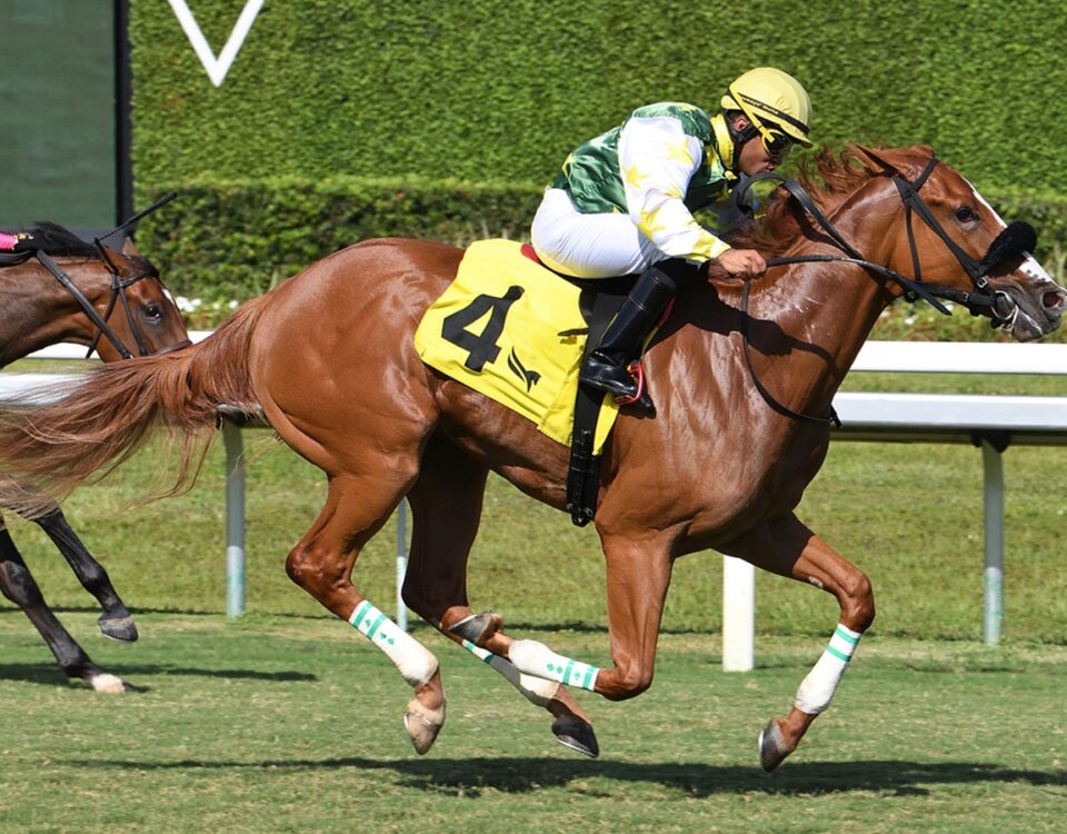 Liberty Rings - Royal Palm Juvenile Fillies - credit Ryan Thompson - Coglianese Photo