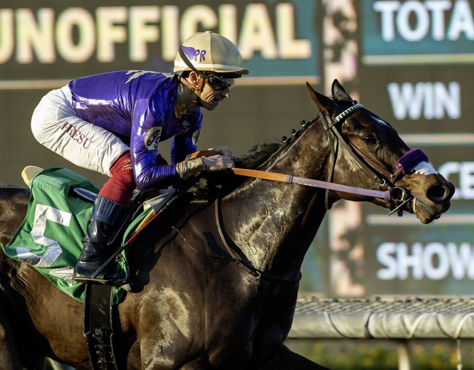 Light Won Up - Santa Anita Park, Arcadia, CA. - Benoit Photo
