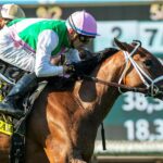 Marjoram - Senorita Stakes G3 - Santa Anita Park - Benoit Photo