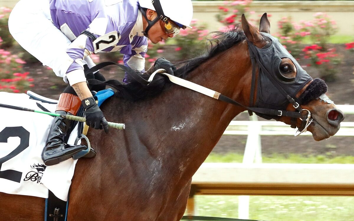 Mark My Words - Belterra Park - Coady Media
