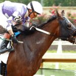 Mark My Words - Belterra Park - Coady Media