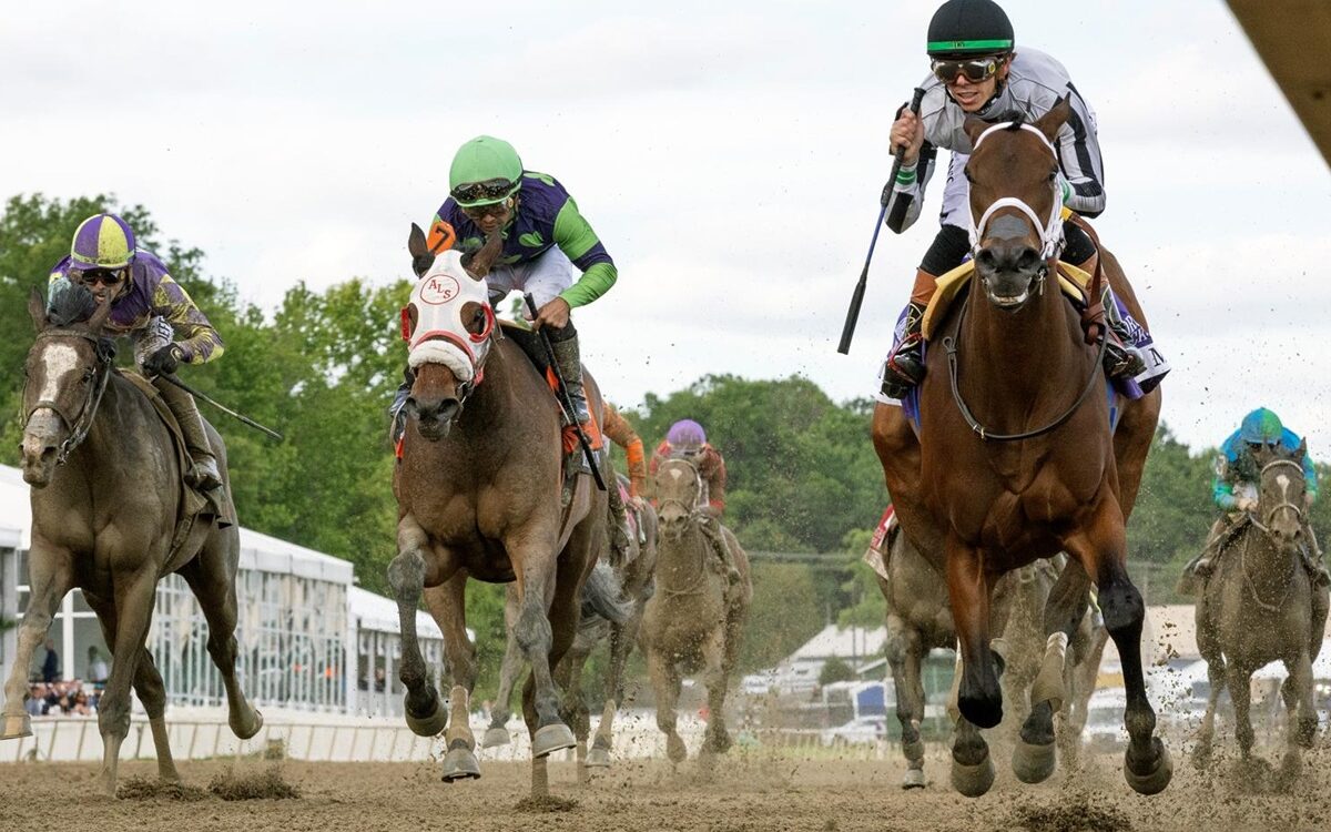 My Miss Mo - Black-Eyed Susan Stakes G2 - Laurel Park - Barbara D. Livingston - Daily Racing Form