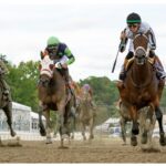 My Miss Mo - Black-Eyed Susan Stakes G2 - Laurel Park - Barbara D. Livingston - Daily Racing Form