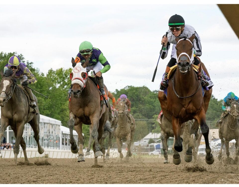 My Miss Mo - Black-Eyed Susan Stakes G2 - Laurel Park - Barbara D. Livingston - Daily Racing Form