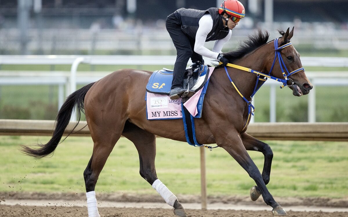 My Miss Mo - Barbara D. Livingston - Daily Racing Form