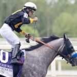 Napoleon Solo - Preakness G1 - Barbara D. Livingston - Daily Racing Form