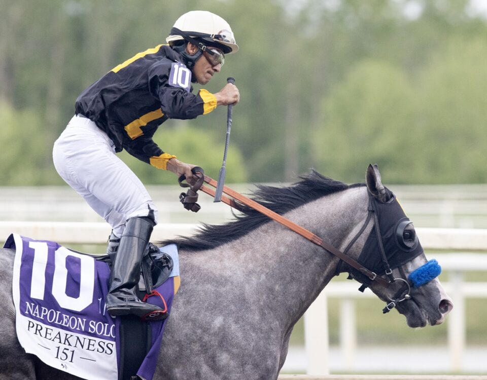 Napoleon Solo - Preakness G1 - Barbara D. Livingston - Daily Racing Form