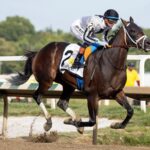 Navajo Warrior - Pimlico Special Stakes G3 - Laurel Park - Barbara D. Livingston - Daily Racing Form