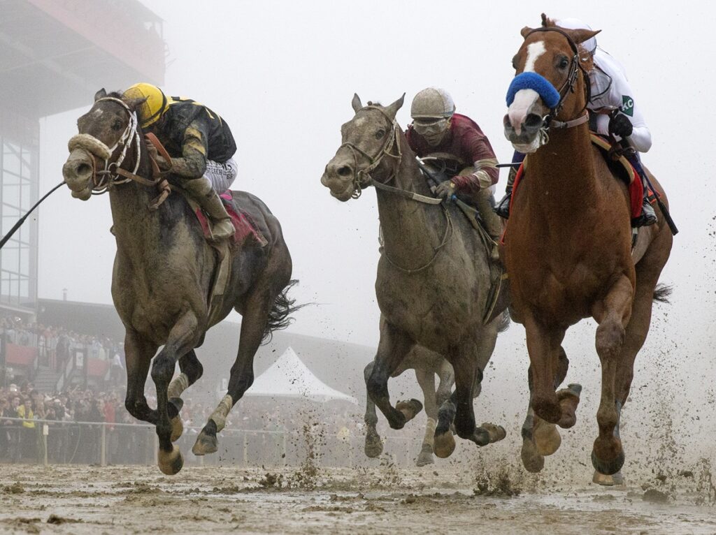 Justify - Preakness Stakes - Barbara D. Livingston - Daily Racing Form