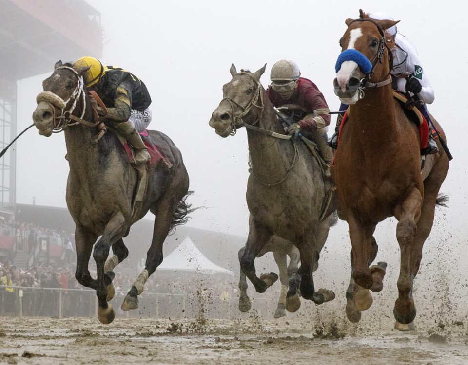 Justify - Preakness Stakes - Barbara D. Livingston - Daily Racing Form